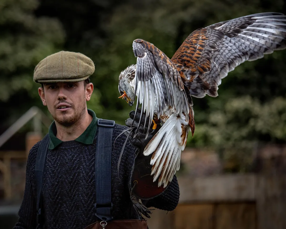 Setting Up Your First Falconry Stand: A Beginner's Step-by-Step Guide